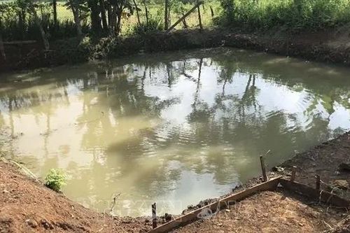 Hai anh em ruột ở Thanh Hóa tử vong dưới ao
