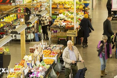 Kinh tế Canada nhiều khả năng sẽ hồi phục trong nửa cuối năm nay