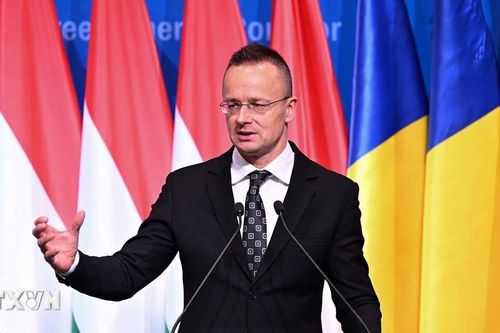 Bầu cử Nghị viện châu Âu: Hungary mở các điểm bỏ phiếu tại 99 nước