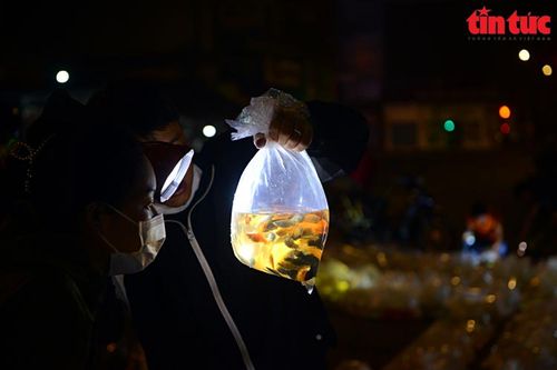 Chợ 'có một không hai' ở TP Hồ Chí Minh: Khách soi đèn mua cá lúc 4 giờ sáng
