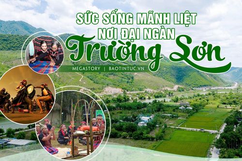 Sức sống mãnh liệt nơi đại ngàn Trường Sơn