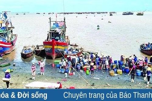 Đội nắng mưu sinh ven bờ biển