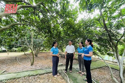 Phụ nữ huyện Hà Trung thực hiện hiệu quả các phong trào thi đua