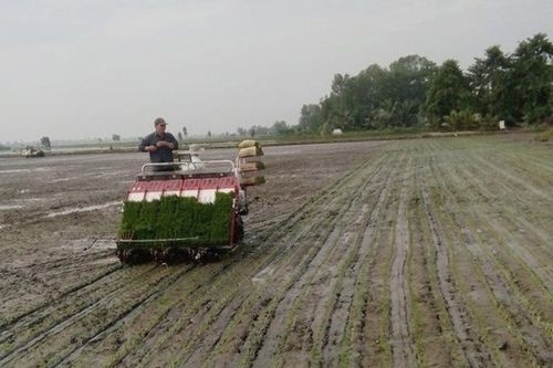 Ngành nông nghiệp tích cực thi đua chuyển đổi số