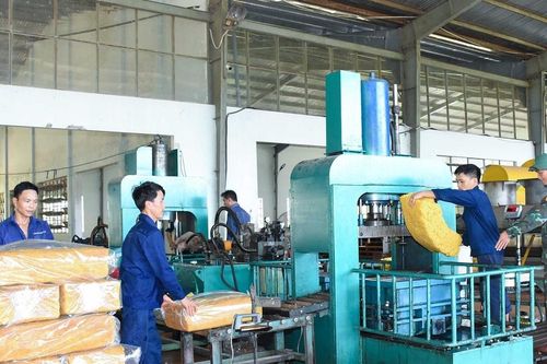 Cấp lại giấy phép môi trường cho nhà máy chế biến mủ cao su của Công ty 715