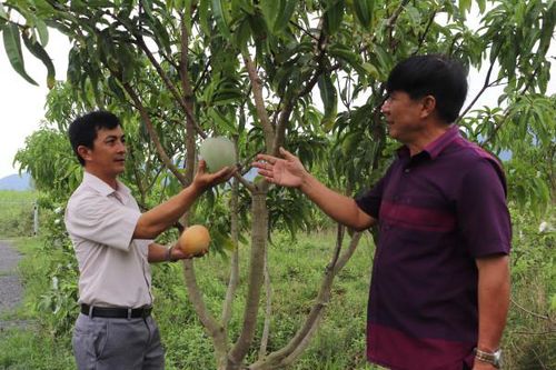 Cán bộ hội nông dân tận tụy, sáng tạo