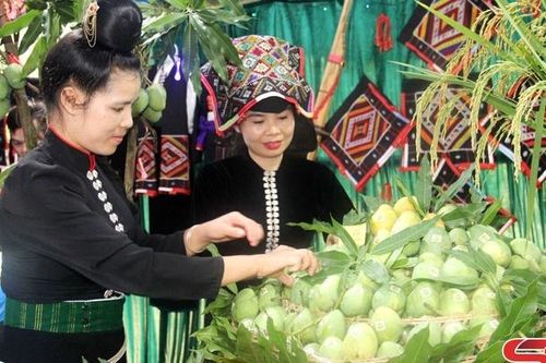 Ấn tượng hội thi trưng bày nông sản huyện Yên Châu