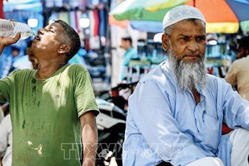 Phát triển cẩm nang toàn cầu giúp ứng phó tình trạng nhiệt độ tăng
