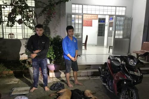 Truy quét, xóa sổ vấn nạn 'cẩu tặc'