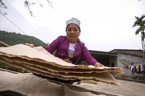 Gìn giữ nghề làm giấy dó vùng Bưởi xưa