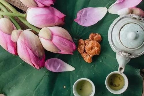 Trà sen đầm Trị vương hương Tây hồ