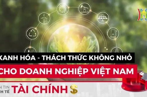 Bản tin Kinh tế Tài chính | 09/06/2024