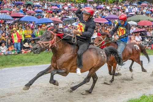 Trai bản đội mũ bảo hiểm, cưỡi chiến mã tranh tài trên cao nguyên trắng