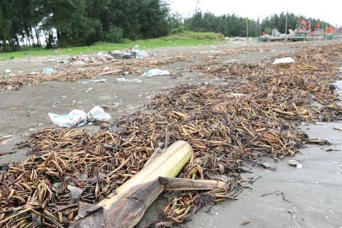 Bãi biển Diễn Châu bị rác 'bủa vây'