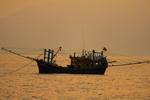 Cẩn trọng mua trúng tour câu mực, săn cá 'chui'