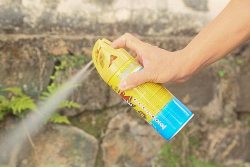 Hiểu lầm về thuốc xịt côn trùng
