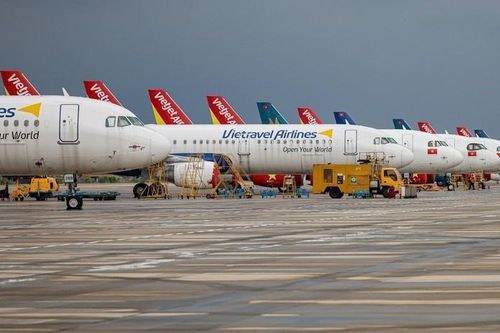Lượng tìm kiếm từ khóa 'vé máy bay giá rẻ' tăng vọt