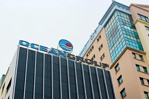 Ocean Group có thêm cổ đông lớn