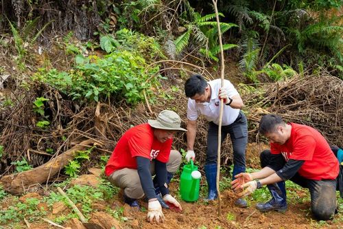 Hưởng ứng Ngày Môi trường thế giới với 'MUFG Green day'