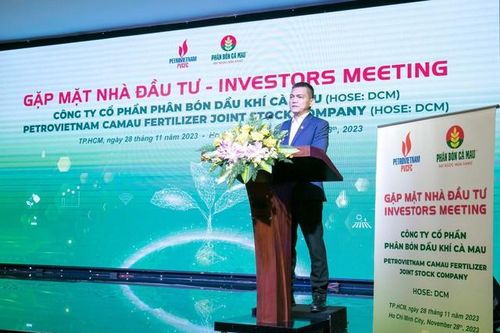 Phân bón Cà Mau chia cổ tức bằng tiền, tỉ lệ 20%