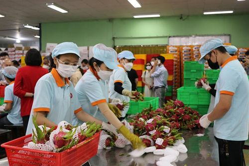 Xúc tiến xuất khẩu nông sản mùa vụ