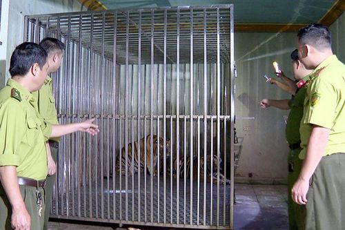 Ngăn chặn hành vi mua bán, nuôi nhốt trái phép động vật hoang dã