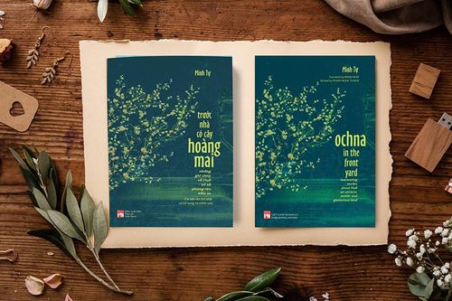 Khắc họa nét Huế qua 'Trước nhà có cây hoàng mai'