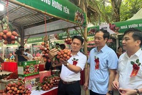 Vải trứng Hưng Yên giá cao nhưng vẫn đắt hàng
