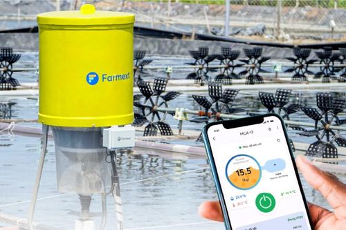 Startup Tép Bạc ra mắt Máy cho tôm ăn tự động Farmext Feeder F7