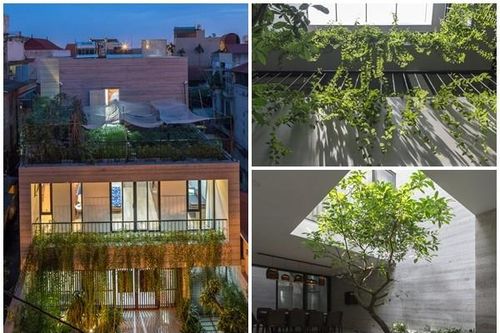 Xây trên đất méo, nhà Hà Nội vẫn đẹp 'không góc chết'