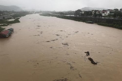 Lào Cai: Mưa rất to, lũ cực lớn trên sông Hồng đang đổ về