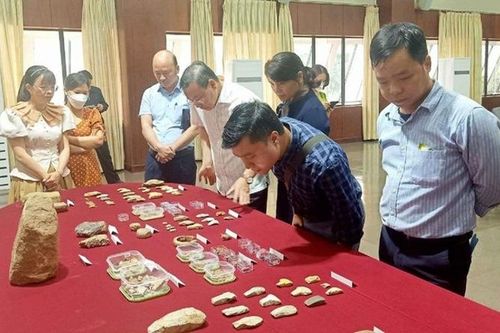 Tỉnh Đắk Lắk sẽ khai quật khảo cổ lần 3 tại Di chỉ Thác Hai