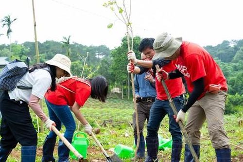 Trồng 200 cây phong linh ở Vườn Quốc gia Ba Vì