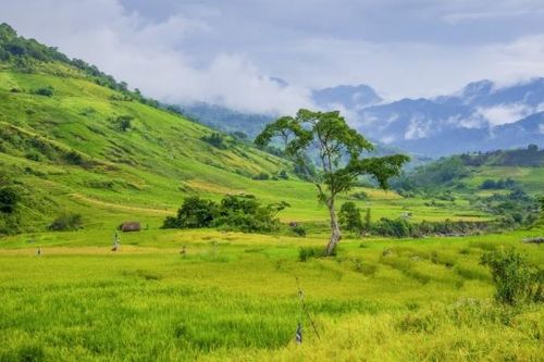 Say đắm vẻ đẹp ở Ngọc Linh