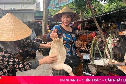 Đi chợ tết Đoan Ngọ ở Hà Tĩnh