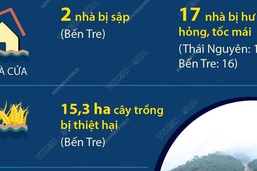 Thiệt hại do thiên tai xảy ra ngày 8 và 9/6/2024 tại một số địa phương