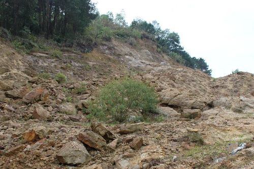 Trên 11,8 triệu ha đất nguy cơ sa mạc hóa: Cần hành động vì mục tiêu bền vững