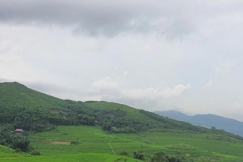 Thảo nguyên xanh Miền Đồi - Nàng thơ của xứ Mường