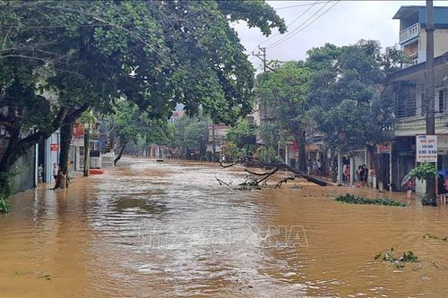 Hà Giang: Khẩn trương khắc phục sạt lở, thông xe nhanh sau mưa lũ
