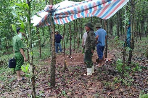 Thông tin mới vụ bé gái 2 tháng tuổi tử vong sau khi tiêm vắc–xin