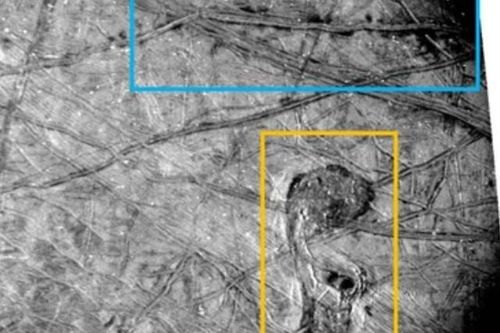 NASA chụp được 'Thú mỏ vịt' di chuyển ở thế giới ngoài hành tinh