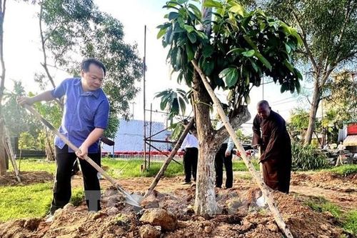 Bình Dương phủ xanh đô thị bằng cây ăn trái trên đất công
