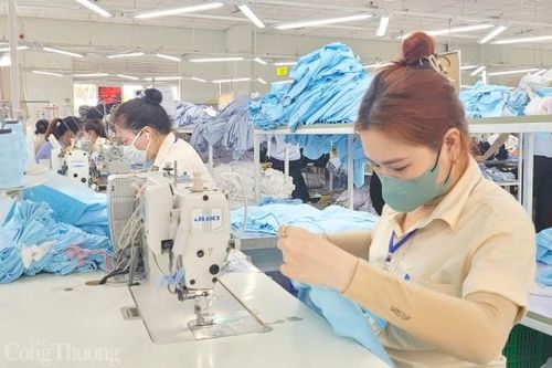 Doanh nghiệp dệt may cần chính sách tín dụng linh hoạt hơn