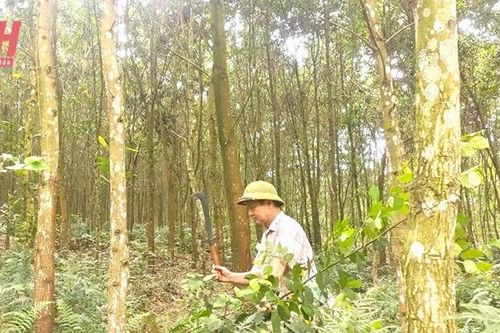 Nông dân giỏi làm kinh tế, nhiệt huyết với phong trào