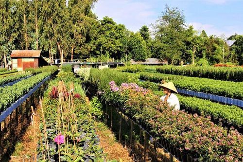 An Giang phát triển du lịch nông thôn