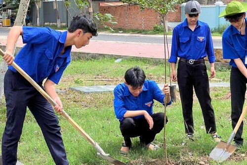 Tuổi trẻ Gia Lai chung tay phủ xanh đất trống, đồi trọc