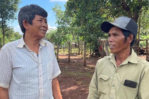 Già làng De Chí góp sức giữ rừng