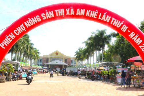 Phiên chợ nông sản thị xã An Khê: Cơ hội kết nối và quảng bá sản phẩm