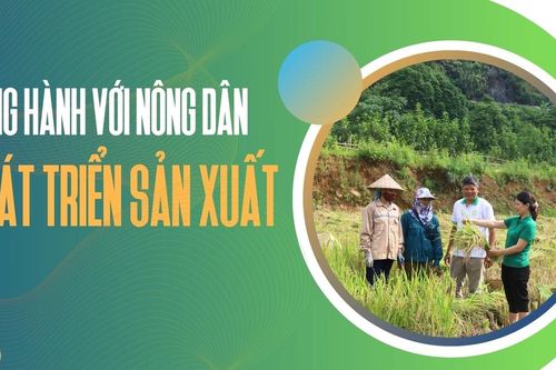 Đồng hành với nông dân phát triển sản xuất