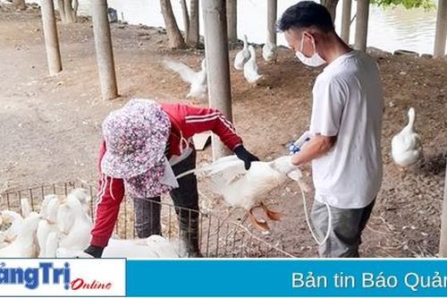 Triệu Phong tháo gỡ khó khăn, đẩy mạnh sản xuất nông nghiệp